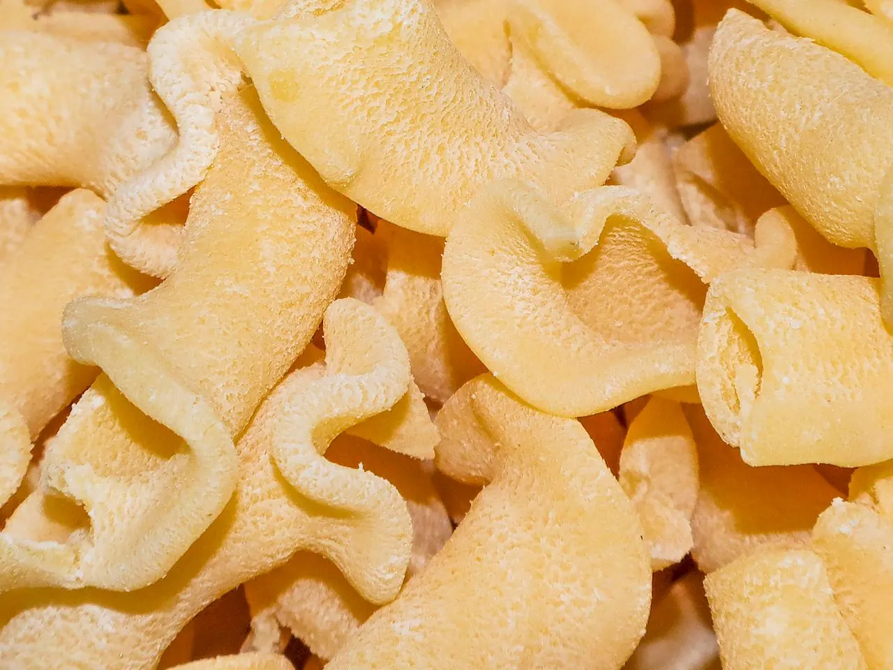 Pâtes fraîches crues en forme de campanelle, en gros plan